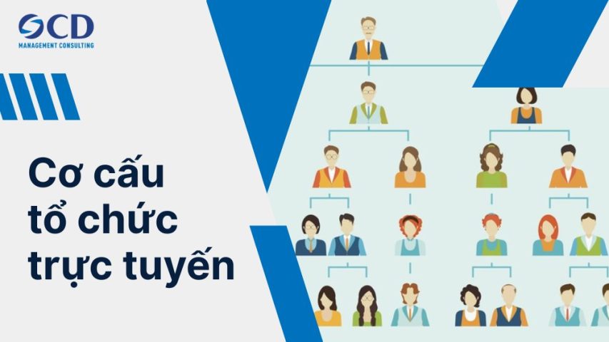 Cơ cấu tổ chức trực tuyến là gì?