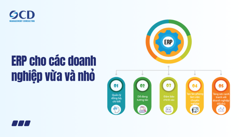 ERP cho các doanh nghiệp vừa và nhỏ