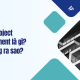 Hybrid Project Management là gì Hoạt động ra sao