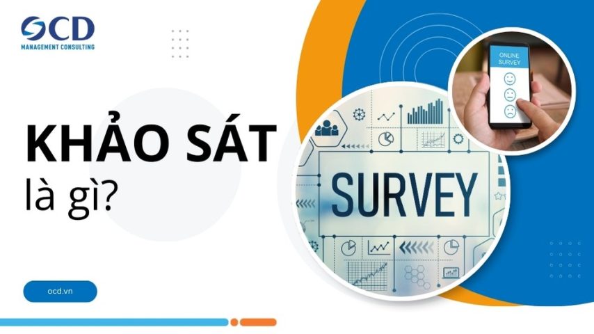 Khảo sát là gì? Định nghĩa, phân loại, quy trình 7 bước thiết kế