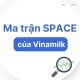 Ma trận SPACE của Vinamilk