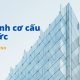 Mô hình cơ cấu tổ chức 9 loại phổ biến