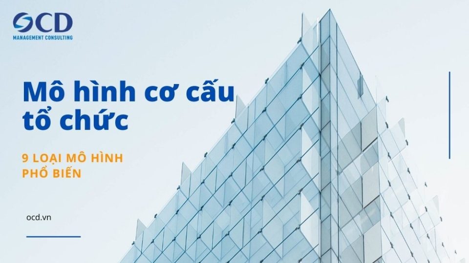 Mô hình cơ cấu tổ chức 9 loại phổ biến