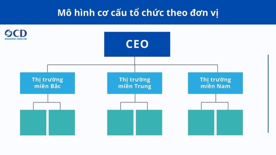 Mô hình cơ cấu tổ chức: 9 loại mô hình phổ biến nhất hiện nay - Công ty ...