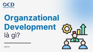 Organizational Development là gì? Tổng quan về Phát triển Tổ chức cho nhà lãnh đạo hiện đại