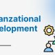 Organizational Development (OD - Phát triển Tổ chức) là gì