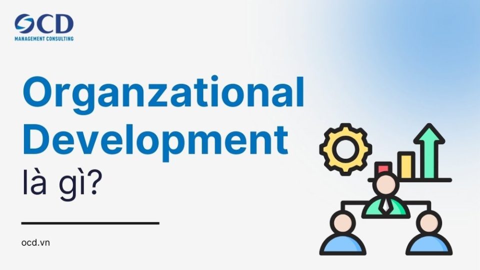 Organizational Development (OD - Phát triển Tổ chức) là gì