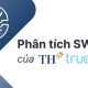 Phân tích SWOT của TH True Milk