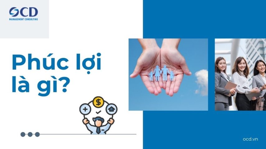 Phúc lợi là gì? Giải mã vũ khí tối thượng giữ chân nhân tài