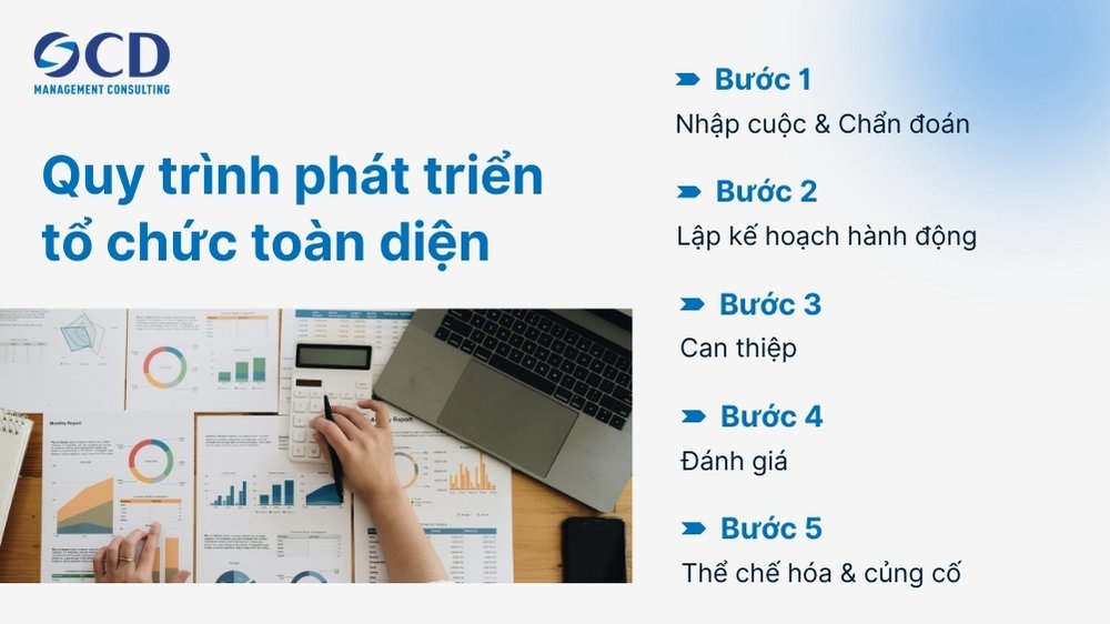 Quy trình Organizational Development Phát triển Tổ chức toàn diện