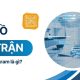 Sơ đồ ma trận là gì Công cụ phân tích đa chiều hiệu quả nhất