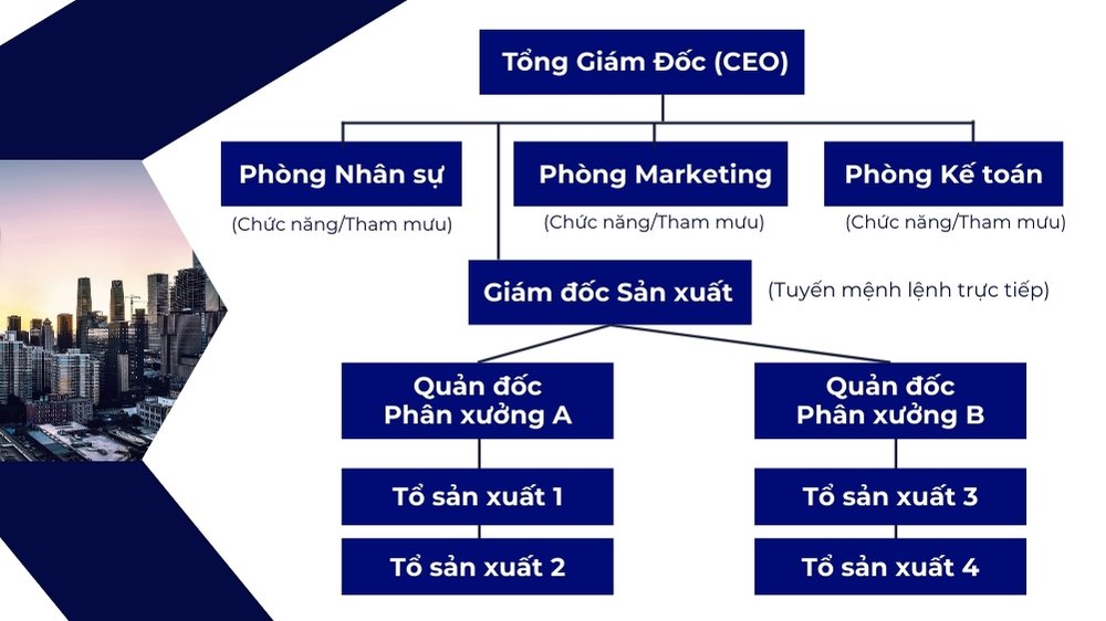 Sơ đồ tổ chức trực tuyến - chức năng