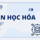 Tin học hóa là gì? Giải mã toàn diện & Tác động đến tương lai