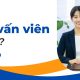 Tư vấn viên là gì? Ngành nghề "vàng" của mọi thời đại
