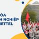 Văn hóa doanh nghiệp của Viettel