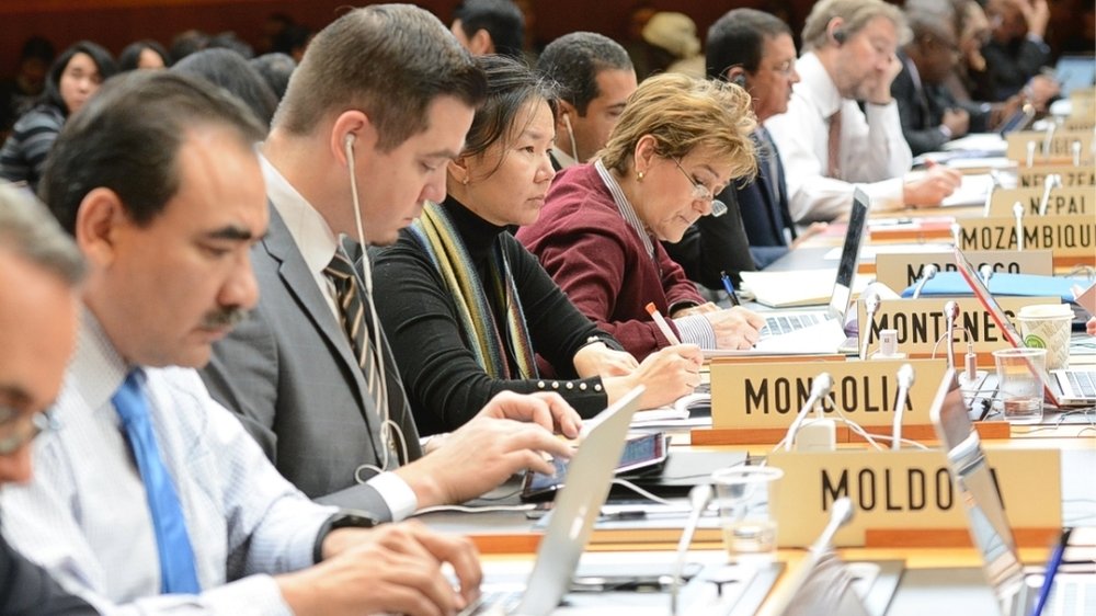 các thành viên trong cơ cấu tổ chức của WTO