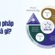 Phương pháp Prosci là gì