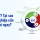 ESG là gì Tại sao doanh nghiệp cần triển khai ngay