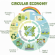 Kinh tế tuần hoàn