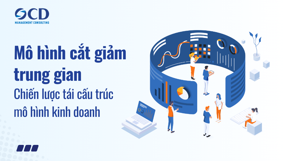Mô hình cắt giảm trung gian - Chiến lược tái cấu trúc mô hình kinh doanh