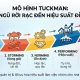 Mô hình Tuckman: 5 giai đoạn xây dựng và phát triển nhóm