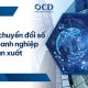 Lộ trình chuyển đổi số cho doanh nghiệp sản xuất
