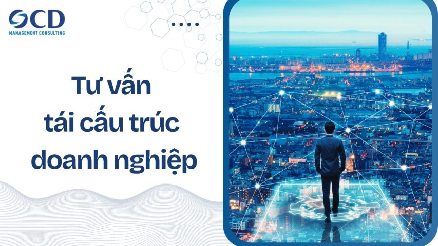 Tư vấn tái cấu trúc doanh nghiệp: Lộ trình tối ưu bộ máy và bứt phá tăng trưởng