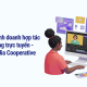 Mô hình kinh doanh hợp tác truyền thông trực tuyến - Online Media Cooperative