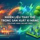 Nhiên liệu thay thế trong sản xuất xi măng cho công nghiệp xanh Net Zero