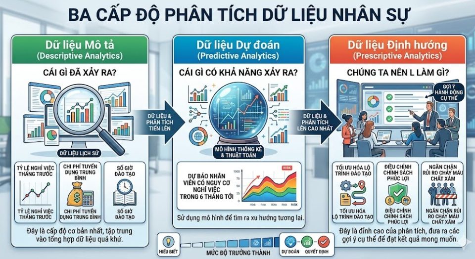 3 cấp độ phân tích dữ liệu nhân sự