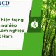 Khảo sát hiện trạng doanh nghiệp cho TCT Lâm nghiệp Việt Nam (Vinafor)