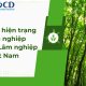 Khảo sát hiện trạng doanh nghiệp cho Tổng Công ty Lâm nghiệp Việt Nam (Vinafor)