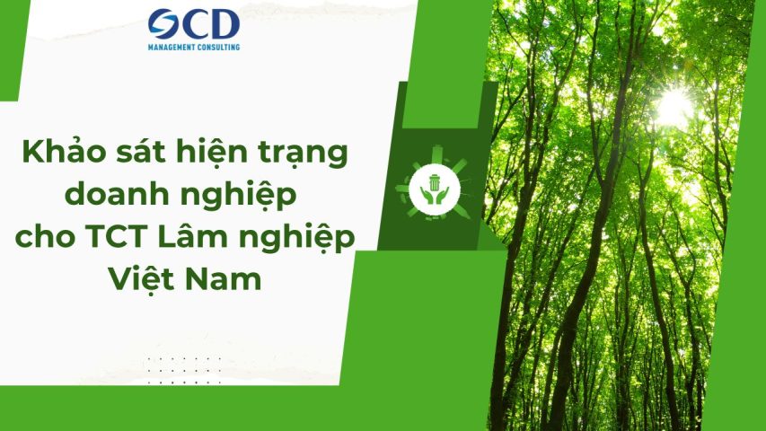 Khảo sát hiện trạng doanh nghiệp cho Tổng Công ty Lâm nghiệp Việt Nam (Vinafor)