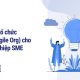 Mô hình tổ chức phẳng (Agile Org) cho doanh nghiệp SME