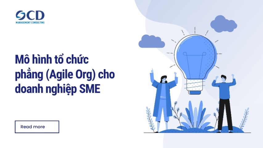 Mô hình tổ chức phẳng (Agile Org) cho doanh nghiệp SME