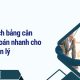 Phân tích bảng cân đối kế toán nhanh cho nhà quản lý