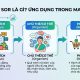 Mô hình SOR là gì? Ứng dụng trong Marketing
