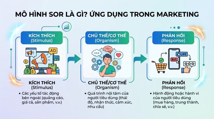 Mô hình SOR là gì? Ứng dụng trong Marketing