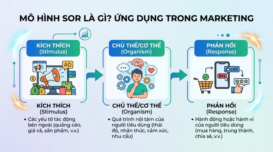 Mô hình SOR là gì? Ứng dụng trong Marketing