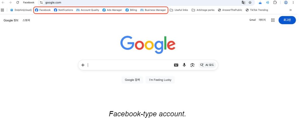 Facebook Type Account