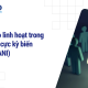 Lãnh đạo linh hoạt trong bối cảnh cực kỳ biến động (BANI)