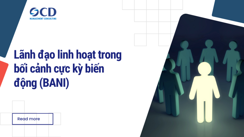 Lãnh đạo linh hoạt trong bối cảnh cực kỳ biến động (BANI)