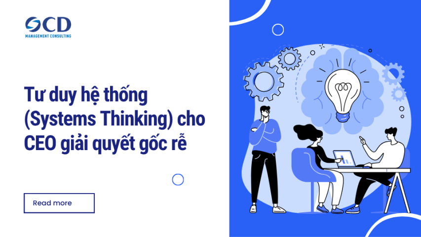 Tư duy hệ thống (Systems Thinking) cho CEO giải quyết gốc rễ