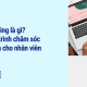 Well - Being là gì_ Chương trình chăm sóc toàn diện cho nhân viên