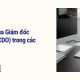 Quản trị hiệu suất liên tục thay thế cho đánh giá năm