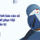 Thuyết trình báo cáo số liệu thuyết phục Hội đồng quản trị