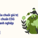 Tối ưu hóa chuỗi giá trị theo tiêu chuẩn ESG trong doanh nghiệp