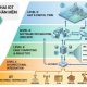 Cấp độ IoT
