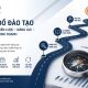 Bản đồ đào tạo - 4 bài học thực tiễn từ các dự án tư vấn doanh nghiệp