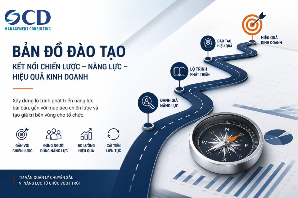 Bản đồ đào tạo - 4 bài học thực tiễn từ các dự án tư vấn doanh nghiệp